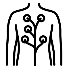 An electrocardiogram or EKG/ECG 