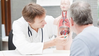 Learn about chronic kidney disease and the interconnected systems 