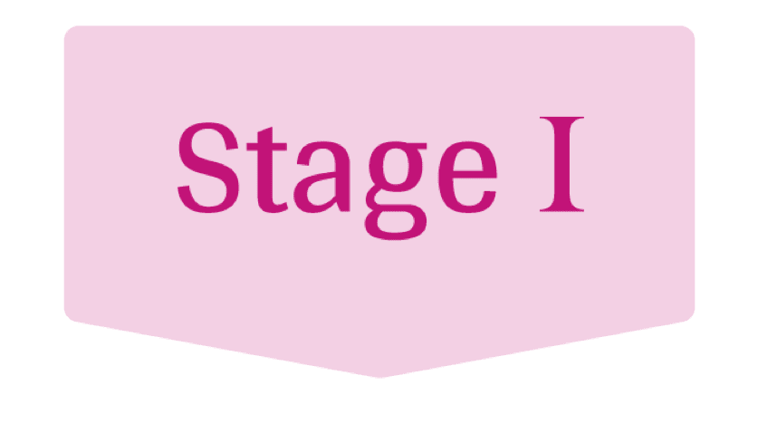 stage-1
